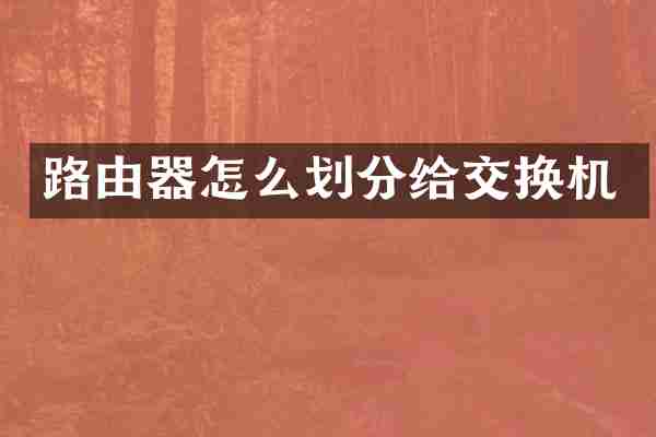 路由器怎么划分给交换机