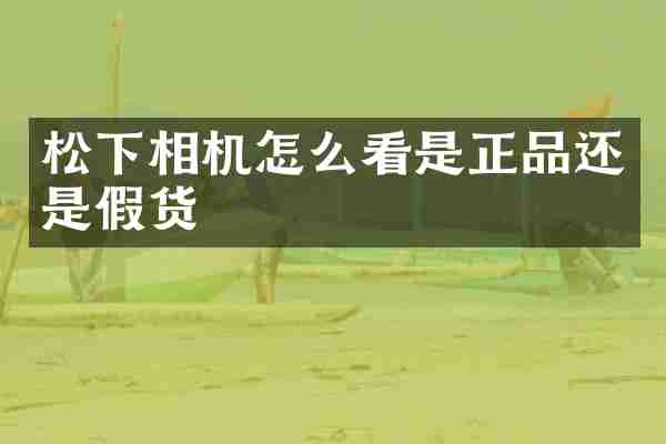 相机怎么看是正品还是假货