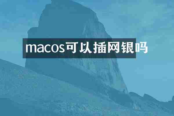 macos可以插网银吗