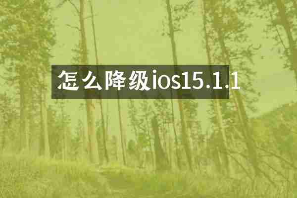 怎么降级ios15.1.1