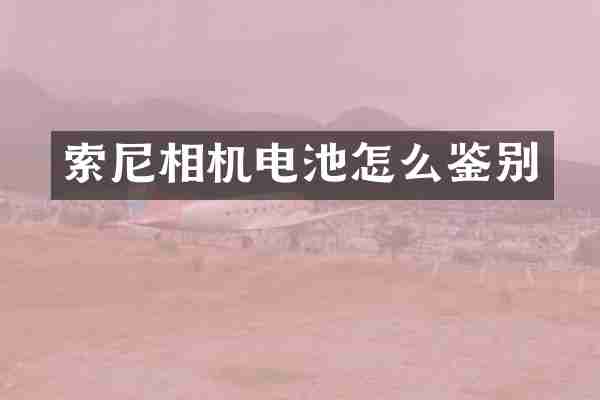 相机电池怎么鉴别