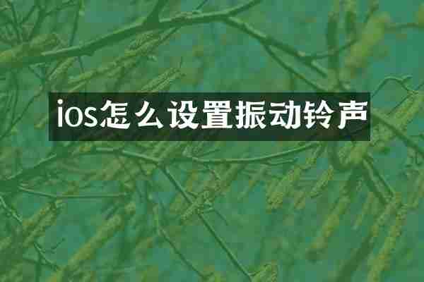 ios怎么设置振动铃声
