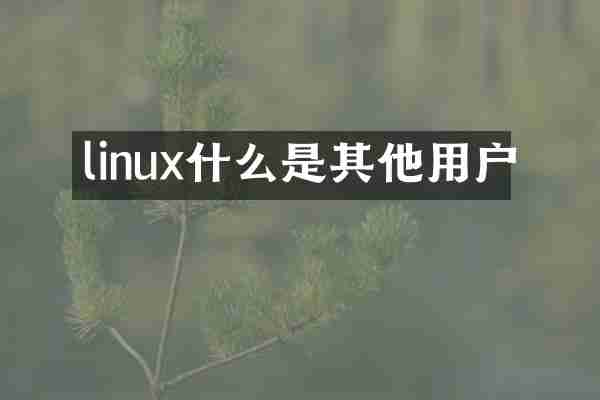 linux什么是其他用户