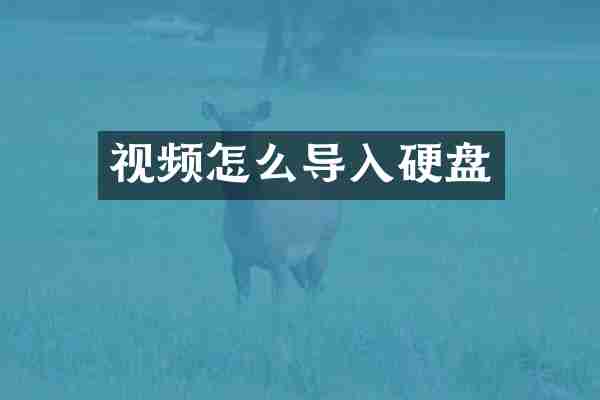 视频怎么导入硬盘