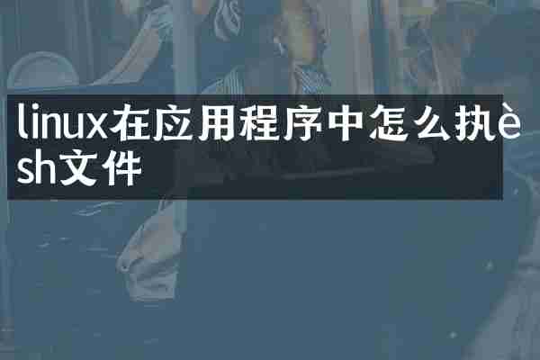linux在应用程序中怎么执行s件