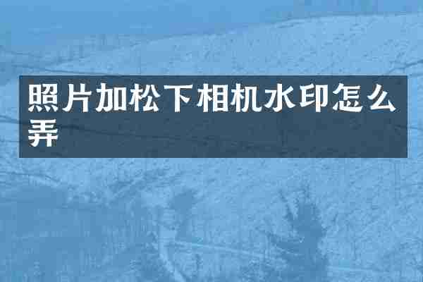 照片加相机水印怎么弄