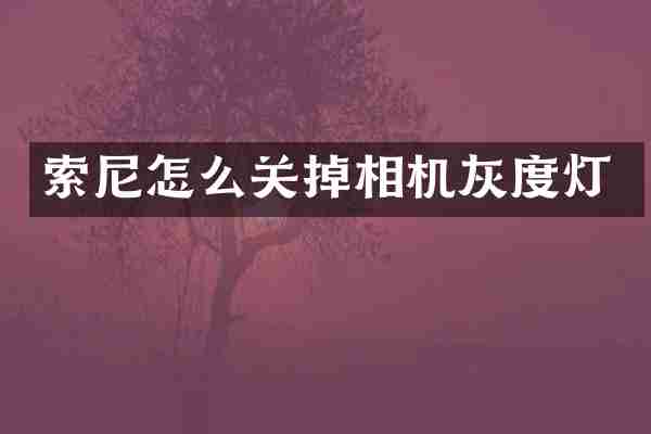 怎么关掉相机灰度灯