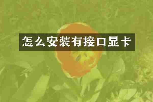 怎么安装有接口显卡