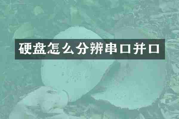 硬盘怎么分辨串口并口