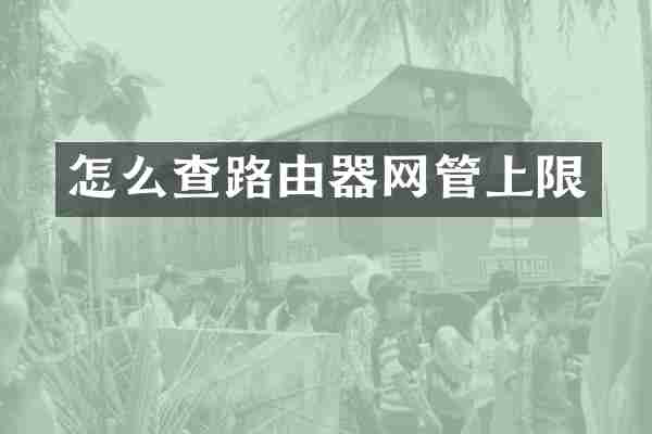 怎么查路由器网管上限