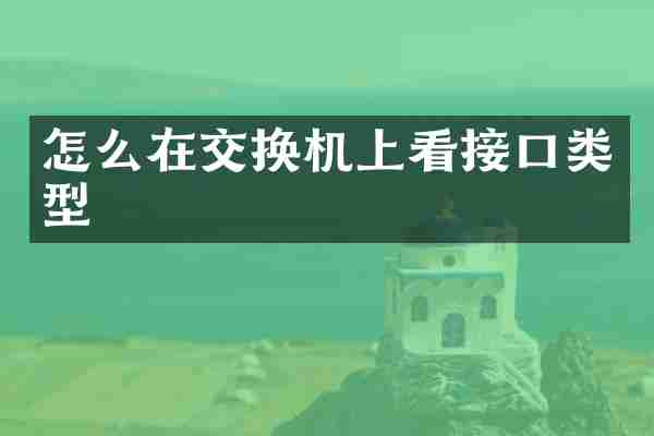 怎么在交换机上看接口类型