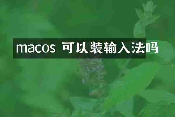 macos 可以装输入法吗
