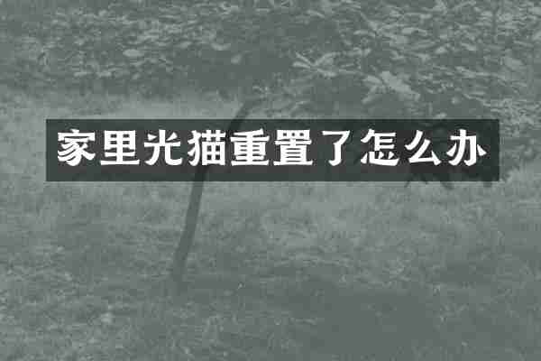 家里光猫重置了怎么办