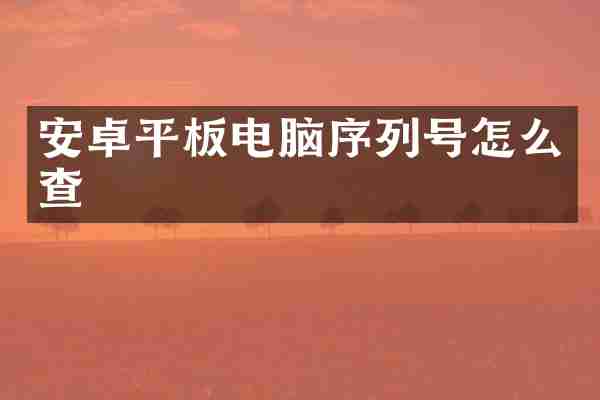 安卓平板电脑序列号怎么查