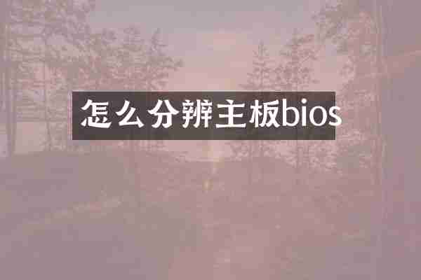 怎么分辨主板bios