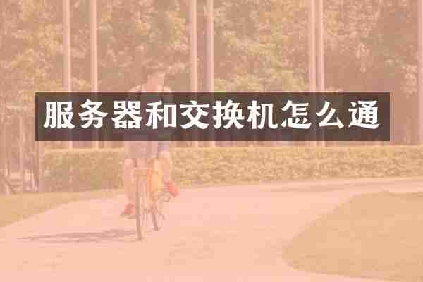 服务器和交换机怎么通
