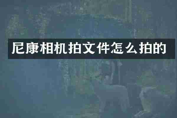 尼康相机拍文件怎么拍的