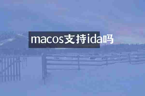 macos支持ida吗
