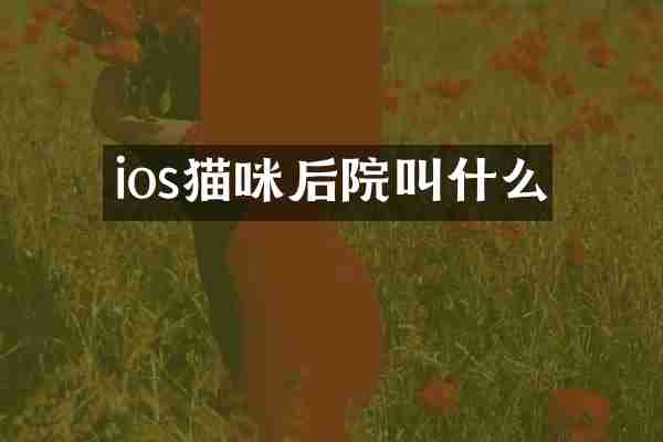ios猫咪后院叫什么