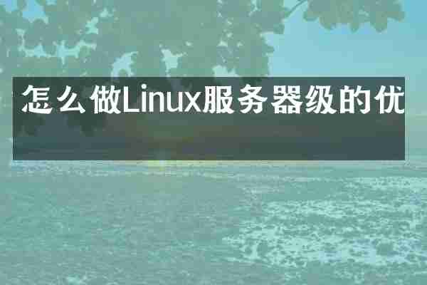 怎么做Linux服务器级的优化