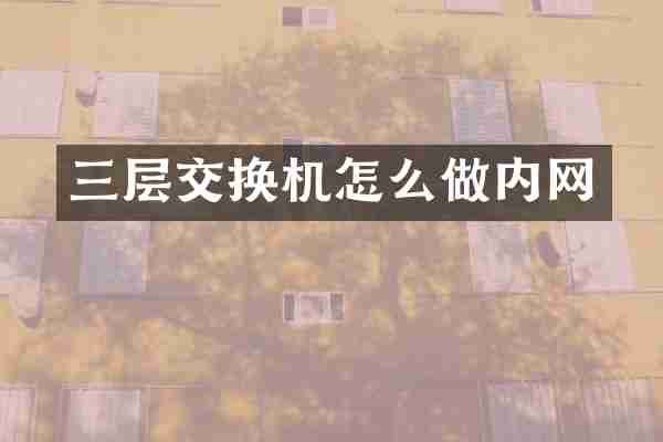 三层交换机怎么做内网