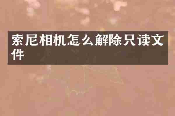 索尼相机怎么解除只读文件