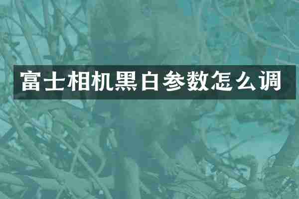 富士相机黑白参数怎么调