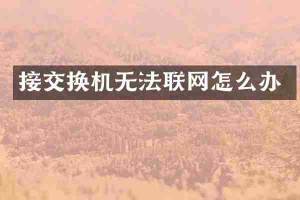 接交换机无法联网怎么办