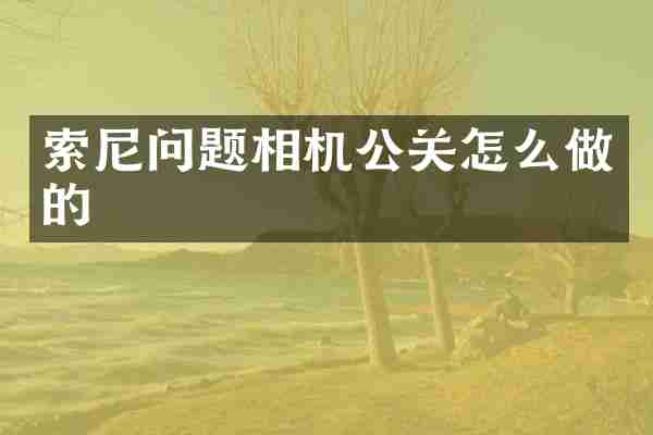 索尼问题相机公关怎么做的