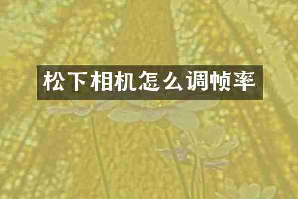 相机怎么调帧率