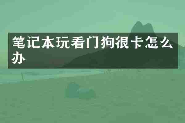 笔记本玩看门狗很卡怎么办
