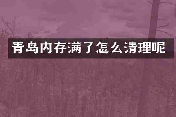 青岛内存满了怎么清理呢