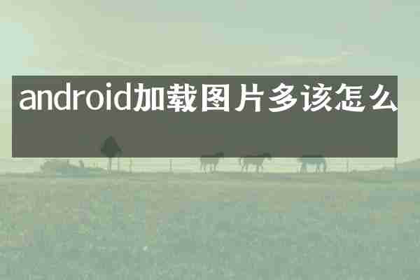 android加载图片多该怎么做