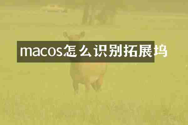 macos怎么识别拓展坞