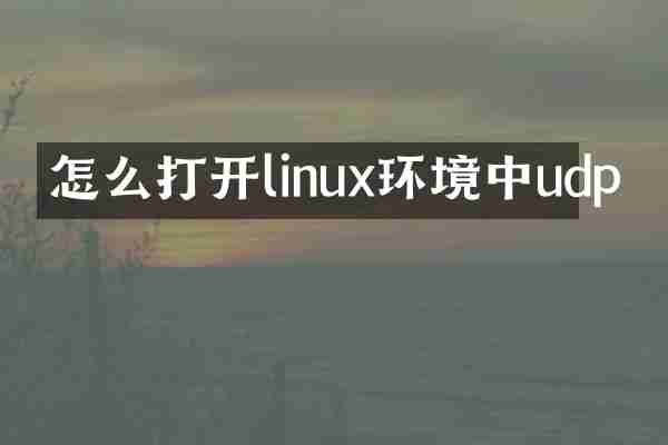 怎么打开linux环境中udp