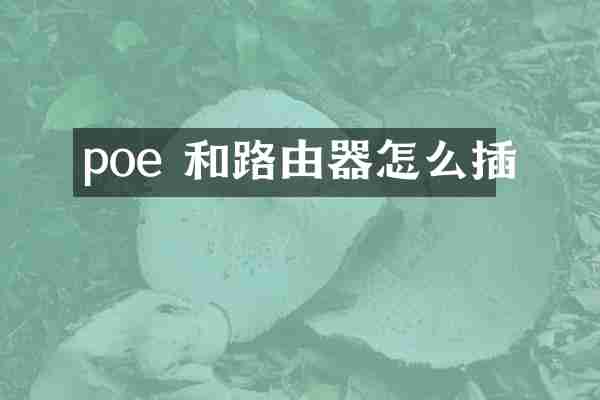 poe 和路由器怎么插