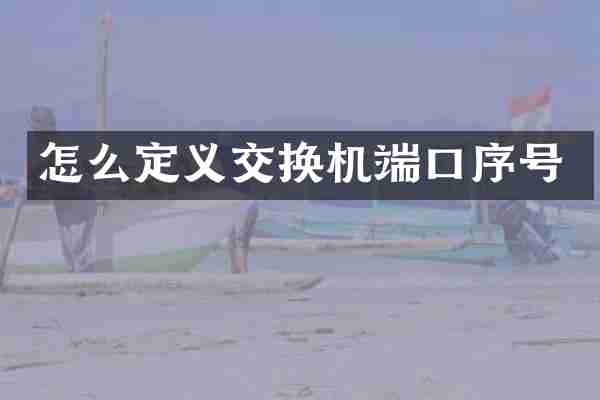 怎么定义交换机端口序号