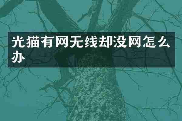 光猫有网无线却没网怎么办