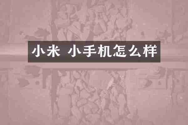 小米 小手机怎么样