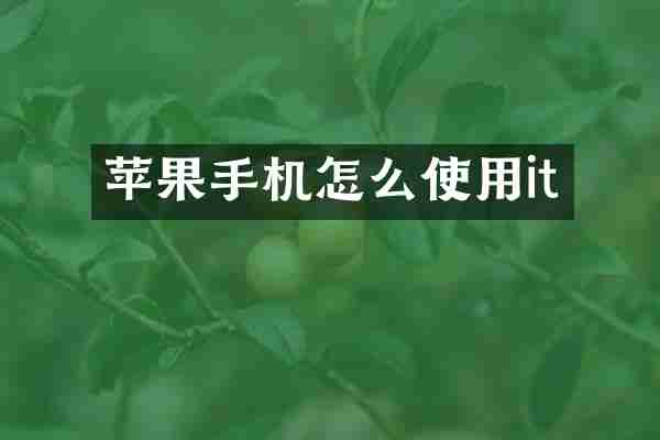 苹果手机怎么使用it
