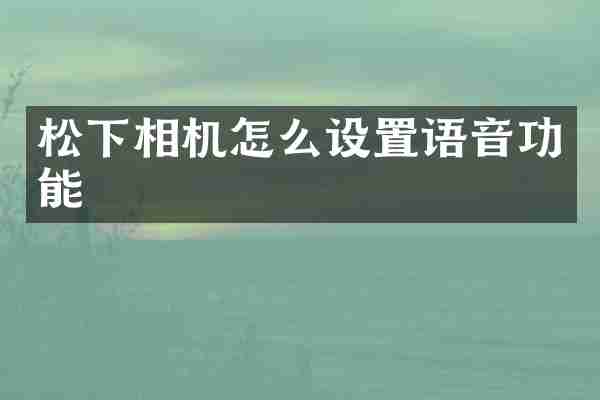 相机怎么设置语音功能