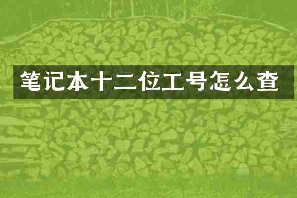 笔记本十二位工号怎么查
