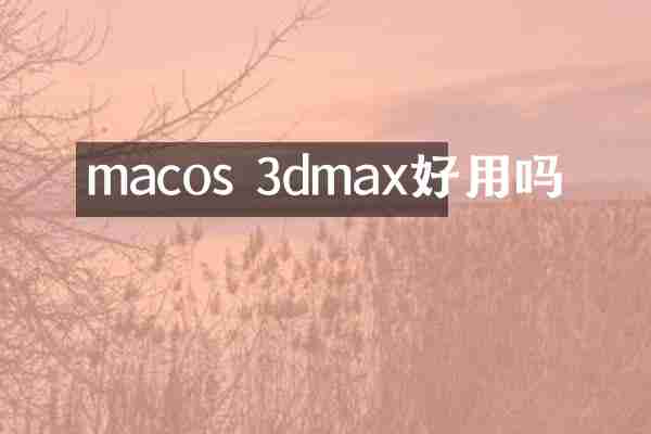 macos 3dmax好用吗