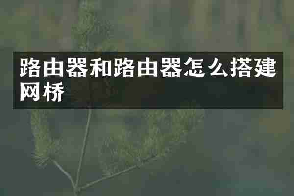 路由器和路由器怎么搭建网桥