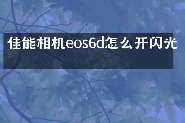 佳能相机eos6d怎么开闪光灯