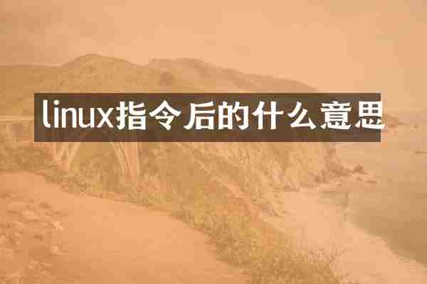 linux指令后的什么意思