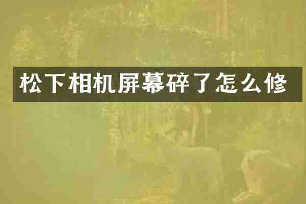 相机屏幕碎了怎么修