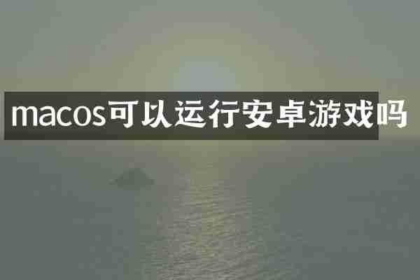 macos可以运行安卓游戏吗