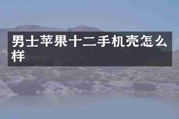 男士苹果十二手机壳怎么样