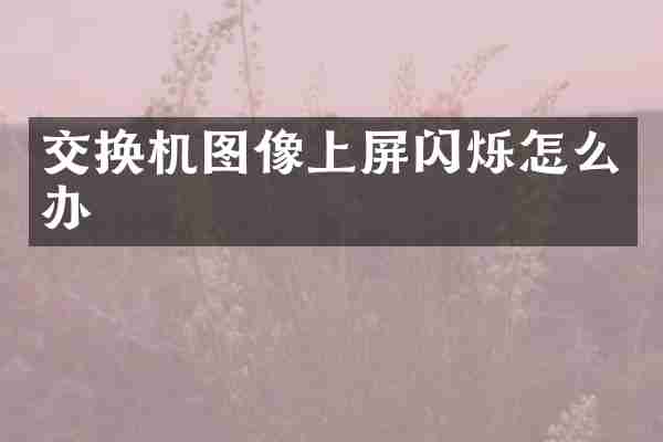交换机图像上屏闪烁怎么办